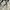 Y2K Skater T-shirt Pria cream photo 2