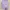 Minimalist Casual T-shirt Wanita purple photo 2