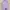 Minimalist Casual T-shirt Wanita Purple