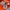 Sportswear Track jacket Pria red photo 7