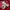 Adidas Sportswear Track jacket Pria red photo 7