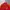 Adidas Sportswear Track jacket Pria red photo 3