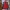 Adidas Vintage Sportswear Track jacket Pria red photo 1