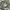 Vintage Y2K Casual shirt Pria green photo 5