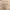 Uniform Bridge Y2K Minimalist Casual shirt Pria tan photo 5