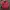 Vintage Sportswear Windbreaker Pria red photo 1