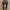 K2 Sportswear Legging Wanita gray photo 1