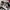 Puma Indie Casual Sneakers Pria white black photo 2