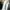 Casual Sweatshirt Pria white photo 3