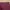 Sportswear Legging Wanita burgundy red photo 6