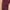 Sportswear Legging Wanita burgundy red photo 2