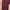 Sportswear Legging Wanita Burgundy Red