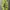 Oakley Streetwear Gorpcore Casual pants Pria green photo 1