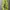 Oakley Streetwear Gorpcore Casual Pants Pria Green