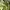 Oakley Streetwear Gorpcore Casual pants Pria green photo 3