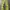 Oakley Streetwear Gorpcore Casual pants Pria green photo 5