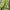 Oakley Streetwear Gorpcore Casual pants Pria green photo 2
