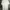 Adidas Sportswear Jersey Pria White