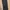 Adidas Sportswear Legging Wanita black photo 2