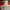 Adidas Sportswear Jersey Pria white red photo 5
