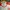 Adidas Sportswear Jersey Pria white red photo 3