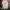 Adidas Sportswear Jersey Pria white red photo 1