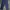 Carhartt Biker Casual pants Pria navy photo 3