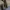 Dickies Casual Casual pants Pria tan photo 7
