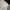 Spao Minimalist Casual Sweater Pria white black photo 7