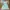 Vintage Fairy Summer dress Wanita blue photo 1