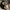 thisisneverthat Vintage Y2K Hat Pria khaki photo 3
