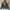 Abercrombie & Fitch Casual Hoody Pria blue photo 1