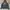 Abercrombie & Fitch Casual Hoody Pria Blue