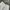Vintage Casual Short Pria cream photo 6