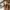 Supreme Vintage Streetwear Sweater Pria tan brown photo 3