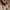 Supreme Vintage Streetwear Sweater Pria tan brown photo 5