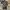 Japanese brand Streetwear Skater Jeans Pria multicolor photo 4