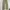 Japanese brand Vintage Streetwear Jeans Pria khaki photo 3