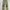 Japanese brand Vintage Streetwear Jeans Pria khaki photo 6
