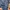 Carhartt Streetwear Jeans Pria blue photo 1