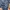 Carhartt Streetwear Jeans Pria Blue