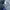 Carhartt Streetwear Jeans Pria blue photo 3