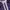 Adidas Vintage Sportswear Track jacket Pria purple gray photo 5