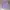 Casual Hoody Pria purple photo 1