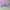 Casual Hoody Pria purple photo 4