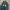 Nevada Casual Skinny jeans Wanita navy photo 3