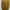 Casual Wanita gold khaki photo 1