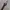 Vintage Y2K Pria gold silver photo 3