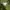 Casual Hoody Pria green photo 2