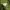 Casual Hoody Pria Green